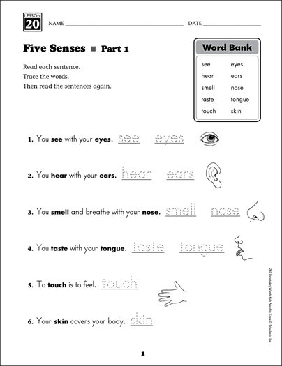Five Senses (Content Words): Grade 1 Vocabulary | Printable Skills Sheets
