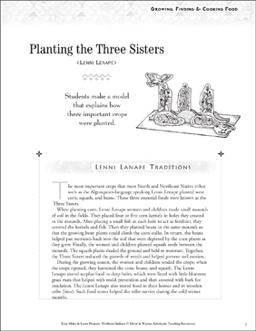 Movies about native americans image