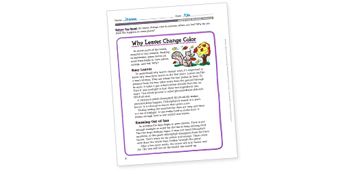 Why Leaves Change Color