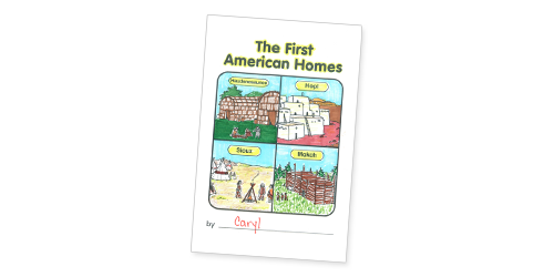 The First American Homes