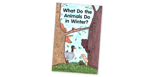What Do the Animals Do in Winter?
