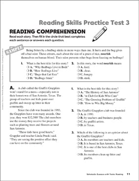 Reading Skills Practice Test 3 Grade 4