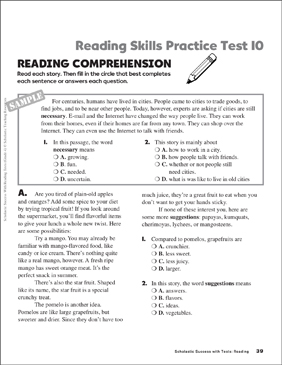 Reading Skills Practice Test 10 Grade 4 Printable Test Prep And Tests Skills Sheets