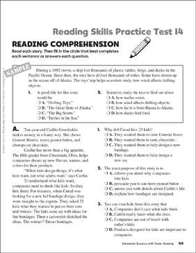Reading Skills Practice Test 14 (Grade 4) | Printable Test ...