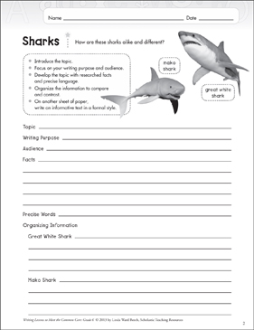 picture Printable Free Shark Reading Comprehension Worksheets a sneeze informative writing lesson