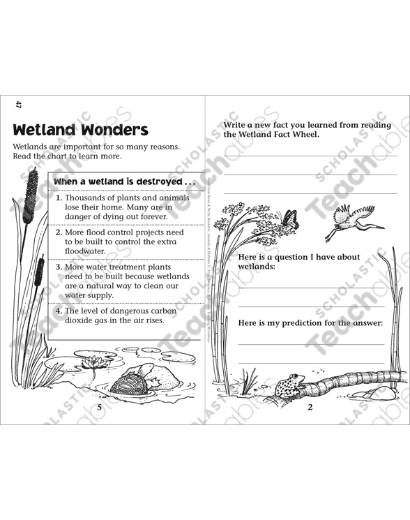 My Book Of Wetland Animals Nonfiction Read Write Booklet