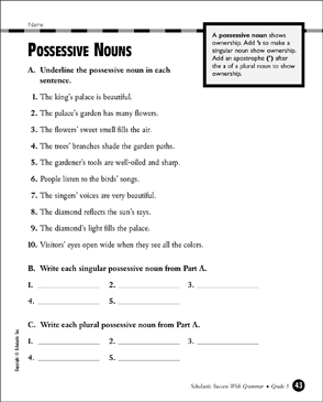 Possessive Nouns (Grade 3) | Printable Test Prep, Tests ...