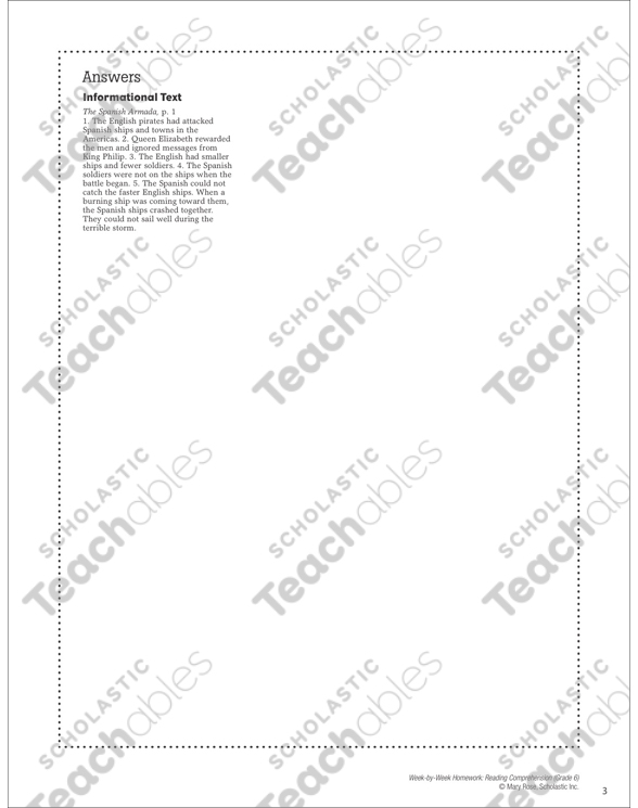 What happened to the spanish armada image