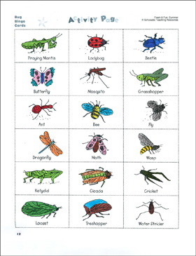 Bug Bingo And Insect Or Not Science Activities