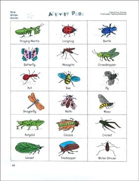 Bug Bingo And Insect Or Not Science Activities