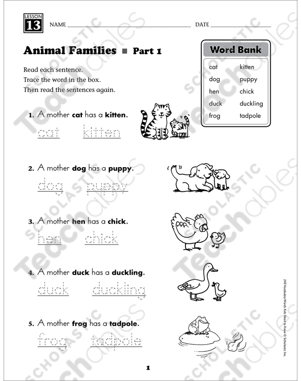 Animal Families (Content Words): Grade 1 Vocabulary | Printable Skills  Sheets