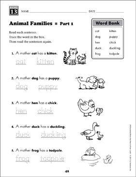 Animal Families (Content Words): Grade 1 Vocabulary | Printable Skills  Sheets