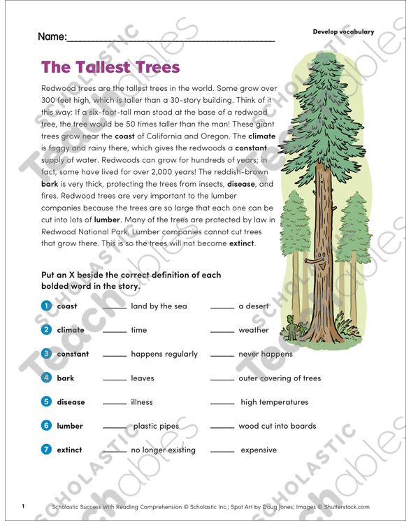 The Tallest Trees (Develop vocabulary) | Printable Skills Sheets