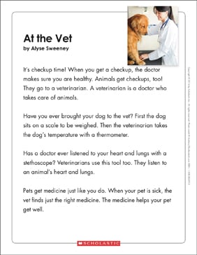 at the vet text organizer printable graphic organizers texts