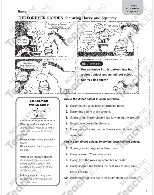 the forever garden direct indirect objects printable skills sheets texts