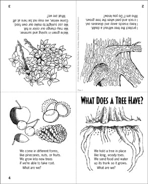 What Does a Tree Have? Science Riddle | Printable Mini-Books