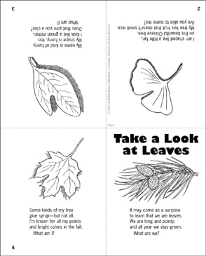 Take a Look at Leaves: Science Riddle | Printable Mini-Books
