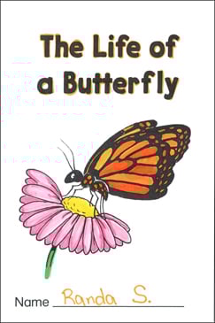 The Life of a Butterfly (Sequencing)