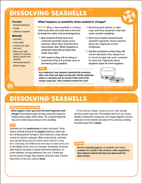 Dissolving Seashells: 5-Minute Science (Gr. 4-6)