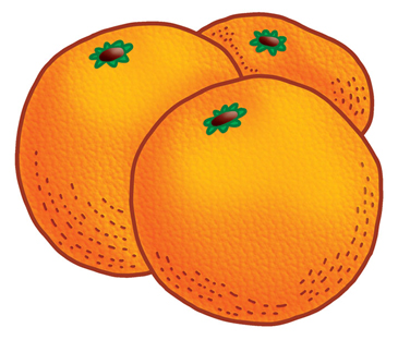 Oranges Printable Clip Art And Images