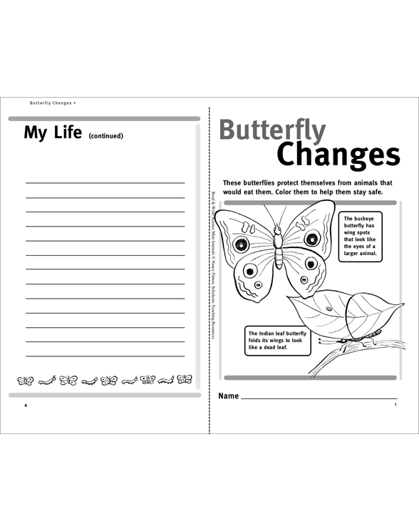Butterfly Changes: Science Journal | Printable Mini-Books