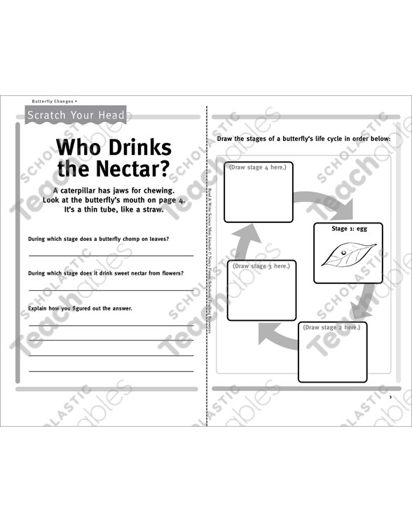 Butterfly Changes: Science Journal | Printable Mini-Books