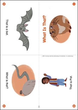 What Is That? (-at Word Family): First Phonics