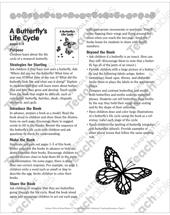 A Butterflys Everyday living Cycle Printable Mini-Publications image relating to Butterfly Life Cycle Printable Book known as A Butterflys Existence Cycle Printable Mini-Guides