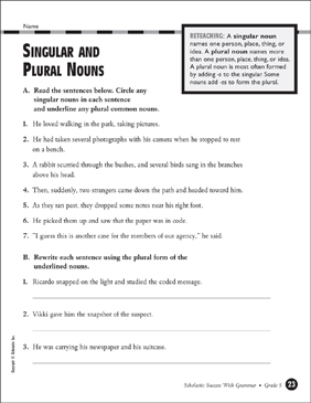 singular and plural nouns grade 5 printable test prep and tests skills sheets