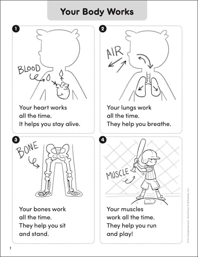 human body systems worksheets activities printable lesson plans for kids