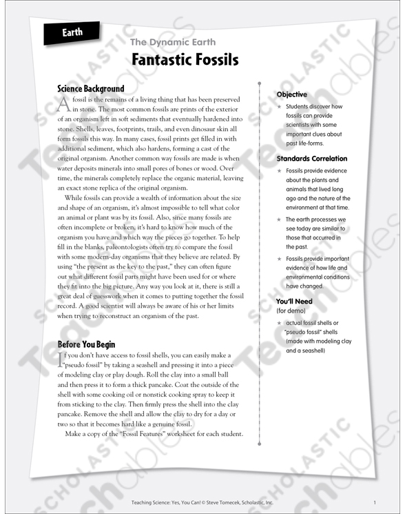 Bill Nye Fossils Worksheet