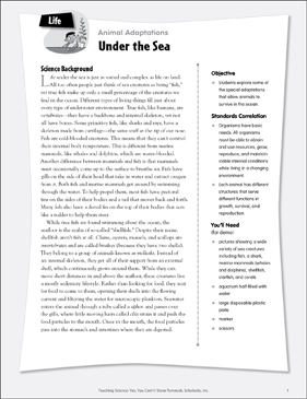 Under the Sea (Fish and Mollusks) | Printable Lesson Plans and Ideas