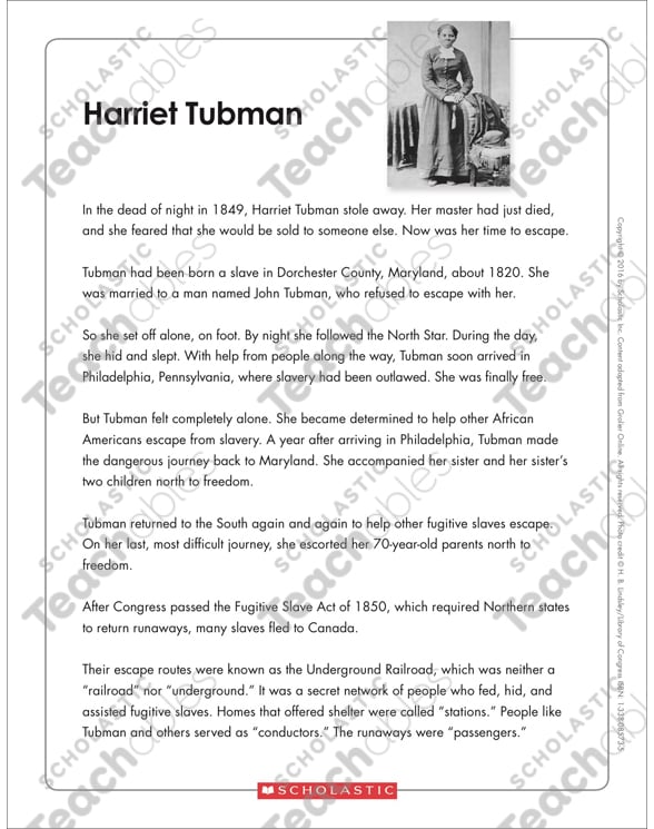essay environmental problem quality
