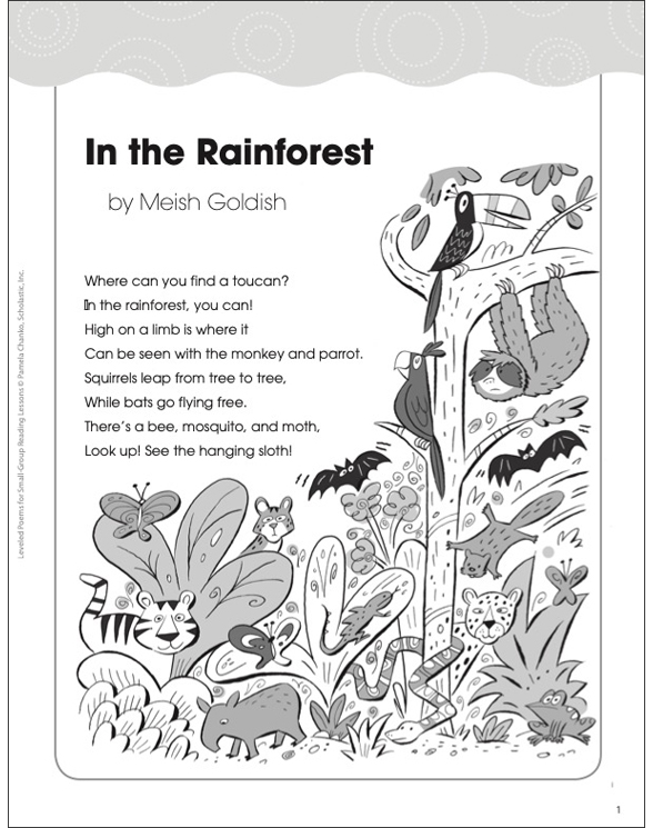 In the Rainforest: Level N Poem | Printable Lesson Plans, Ideas and Texts