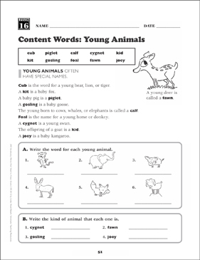 Content Words: Young Animals: Grade 3 Vocabulary | Printable Skills Sheets
