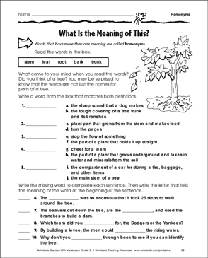 homophone and homonym worksheets activities and printable lesson plans for all grades