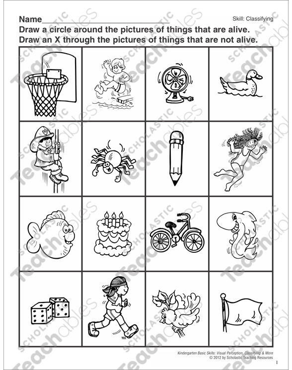 Things That Are Alive Classifying Printable Skills Sheets
