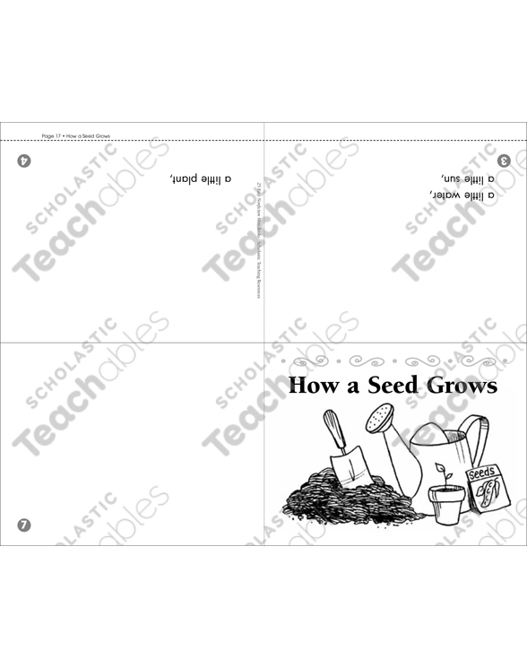 How a Seed Grows (Mini-Book &amp; Activities) | Printable Mini-Books ...