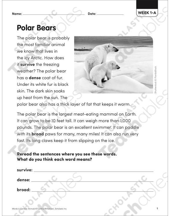 Arctic Animals: Words in Context Packet | Printable Skills Sheets