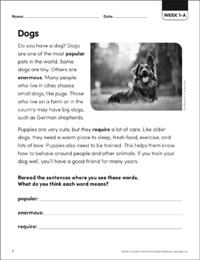 Popular and Uncommon Pets: Words in Context Packet | Printable 