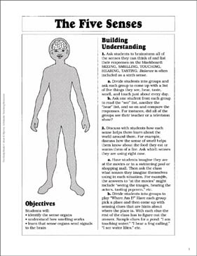 The Five Senses | Printable Lesson Plans and Ideas