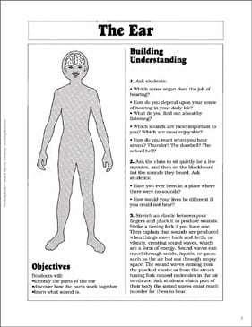 The Ear | Printable Lesson Plans and Ideas