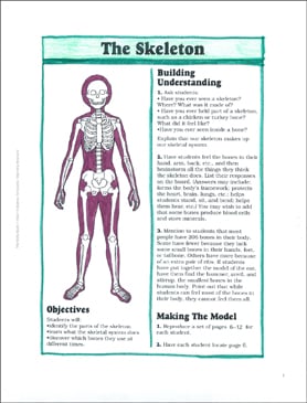 No Bones About It: Nonfiction Passage | Printable Texts ...