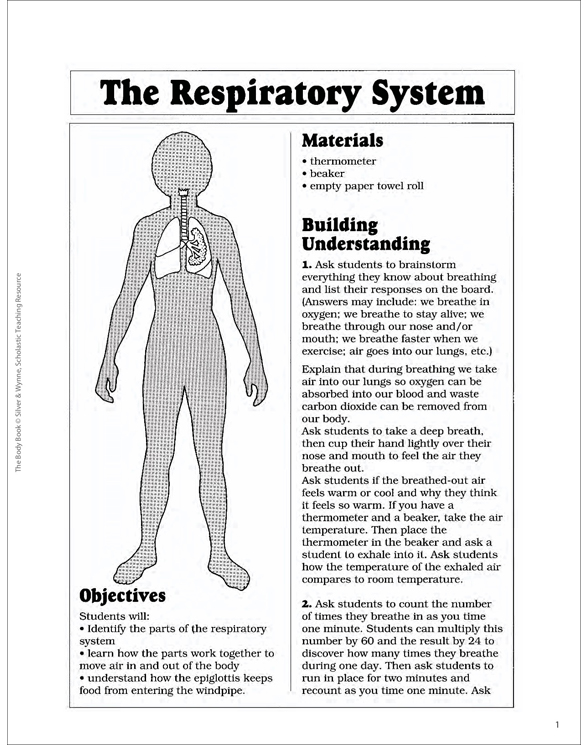 The Respiratory System | Printable Lesson Plans and Ideas