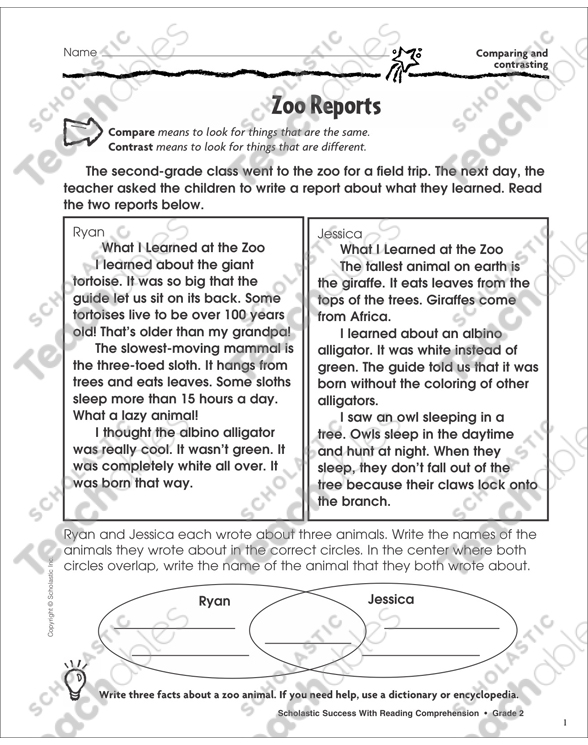 Zoo Reports Comparing And Contrasting Printable Skills Sheets
