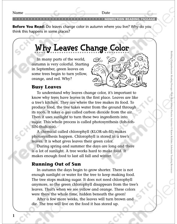 why leaves change comprehension passage printable lesson plans and ideas skills sheets