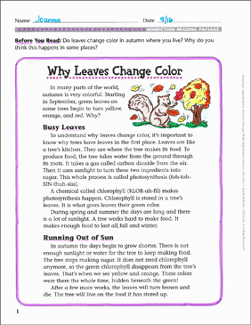 Why Leaves Change: Comprehension Passage