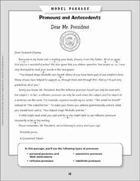 Pronouns and Antecedents Grammar Mini-Lesson | Printable ...