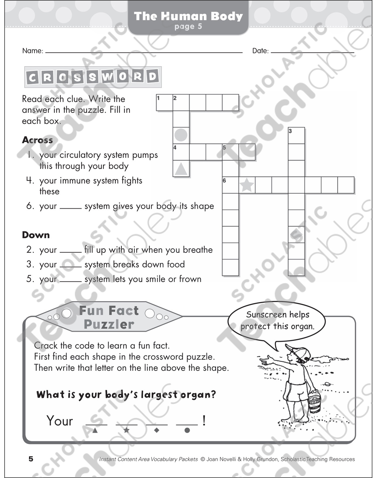 The Human Body: Science Vocabulary | Printable Skills Sheets