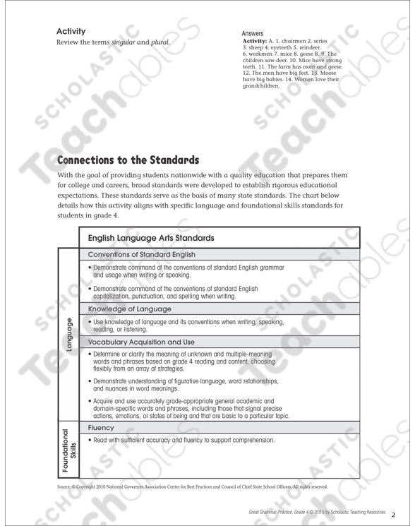 Irregular Plurals Nouns Grammar Practice Page Printable